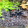 avatar of fz_3d