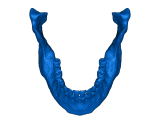 Skull-1