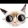 avatar of DM