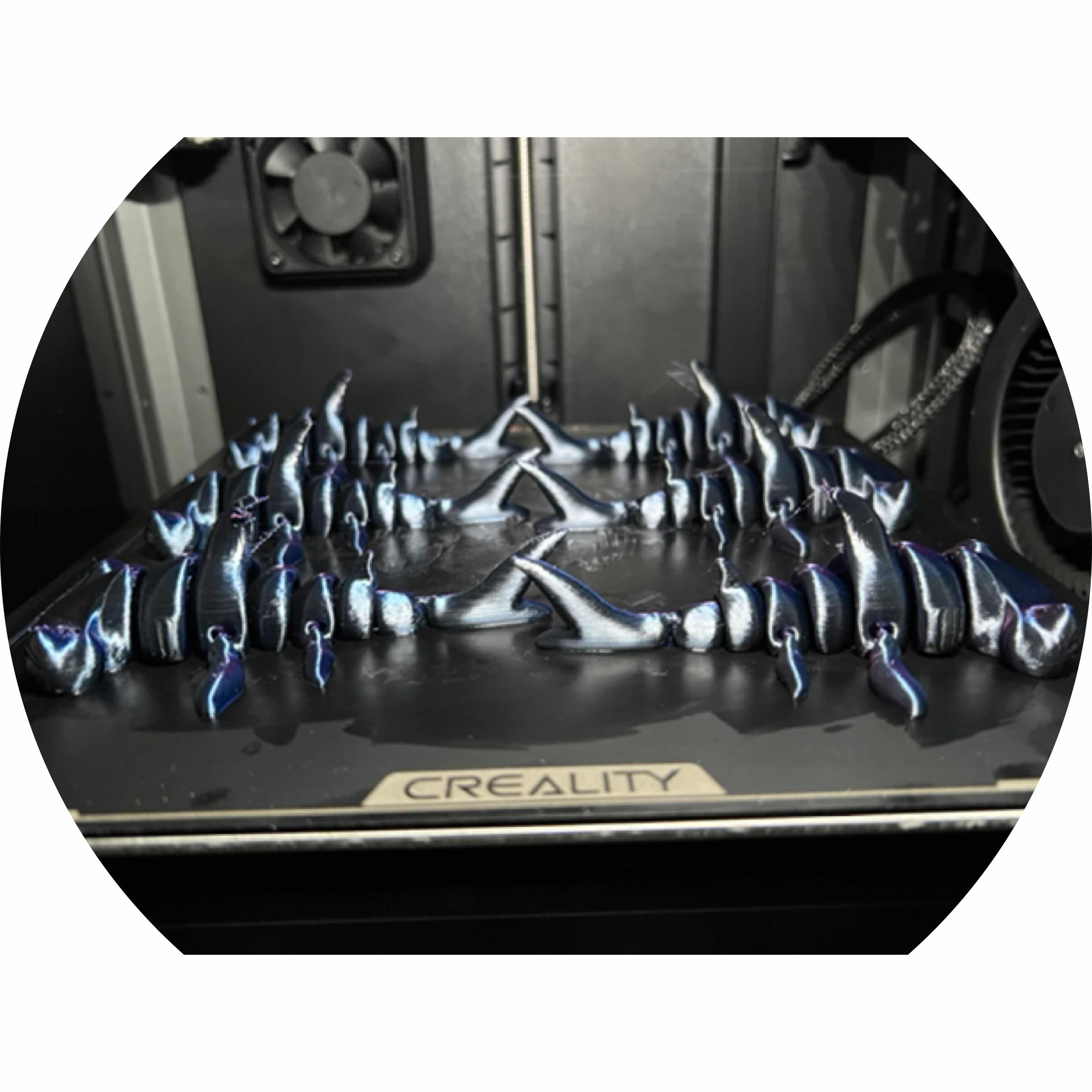 avatar of K1_Central_Florida