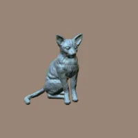 Yorkshire Terrier-8