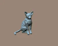 Yorkshire Terrier-8