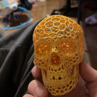 Voronoi-style Skull with no supports-0