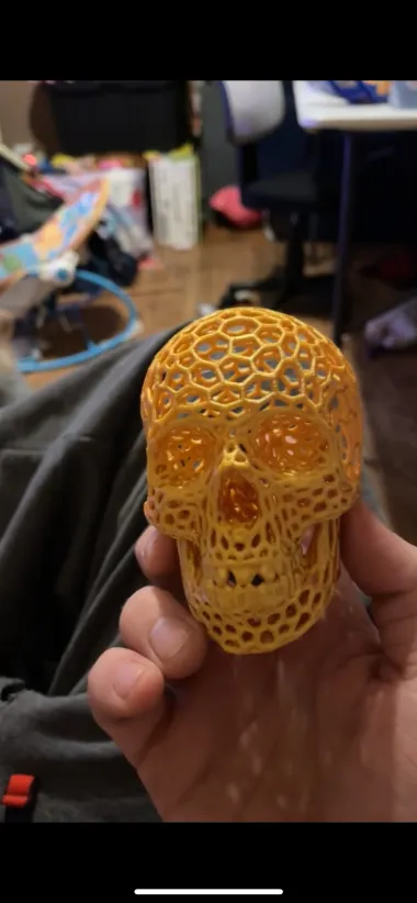 Voronoi-style Skull with no supports-0