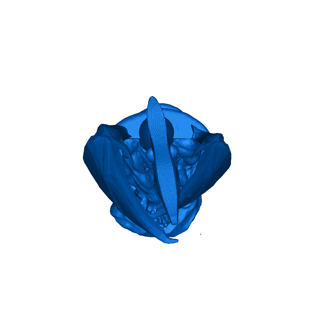 Pterodactyl