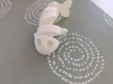 Flexi fish-1