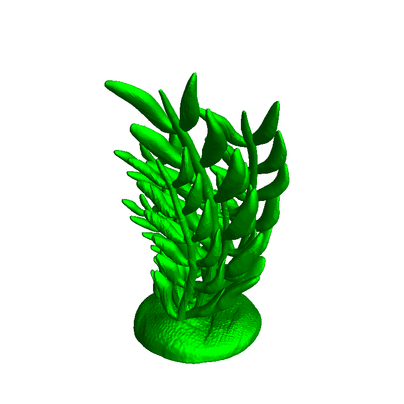 Sea Weed