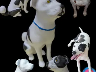 Moo the Dog