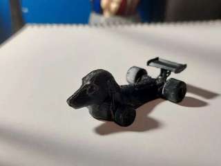 Dachshund F1