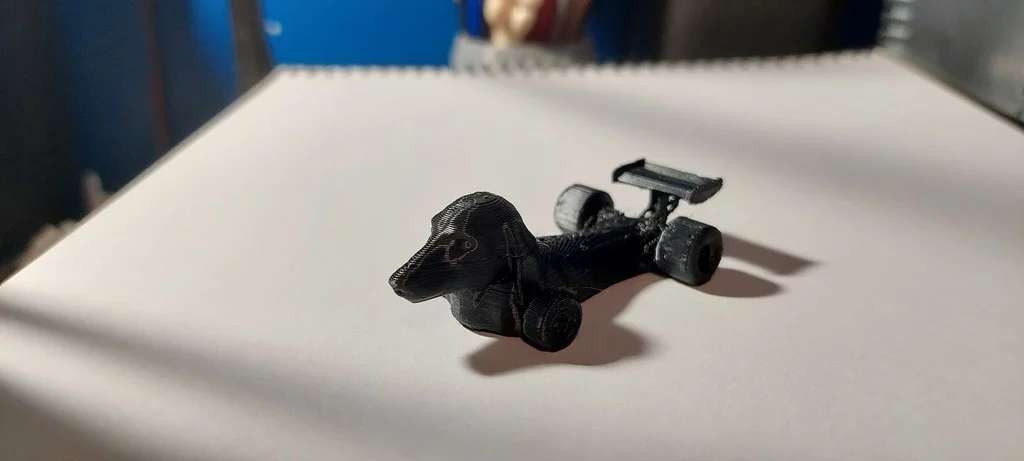 Dachshund F1