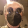 avatar of Grey_Wolf