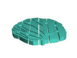 Flexi Burger-1