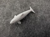 whale-5