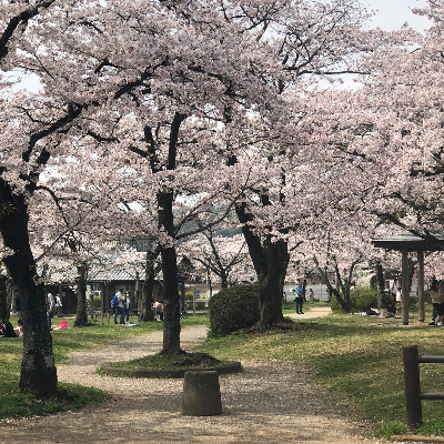 avatar of CrealityUser10050707