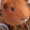 avatar of Capybla