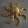 avatar of TooMuchFun