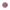 COVID-19 Model