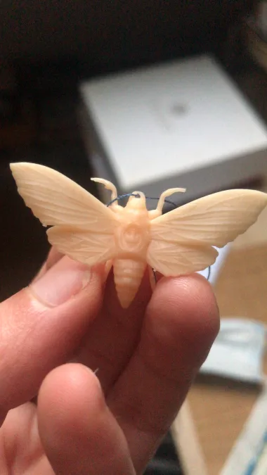 Moth Jewlery Pendant-1