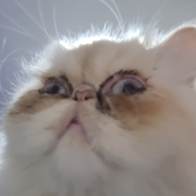 avatar of SOY: MAXvr