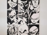 collage dragon ball-0
