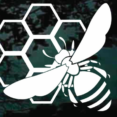avatar of Sspring1015