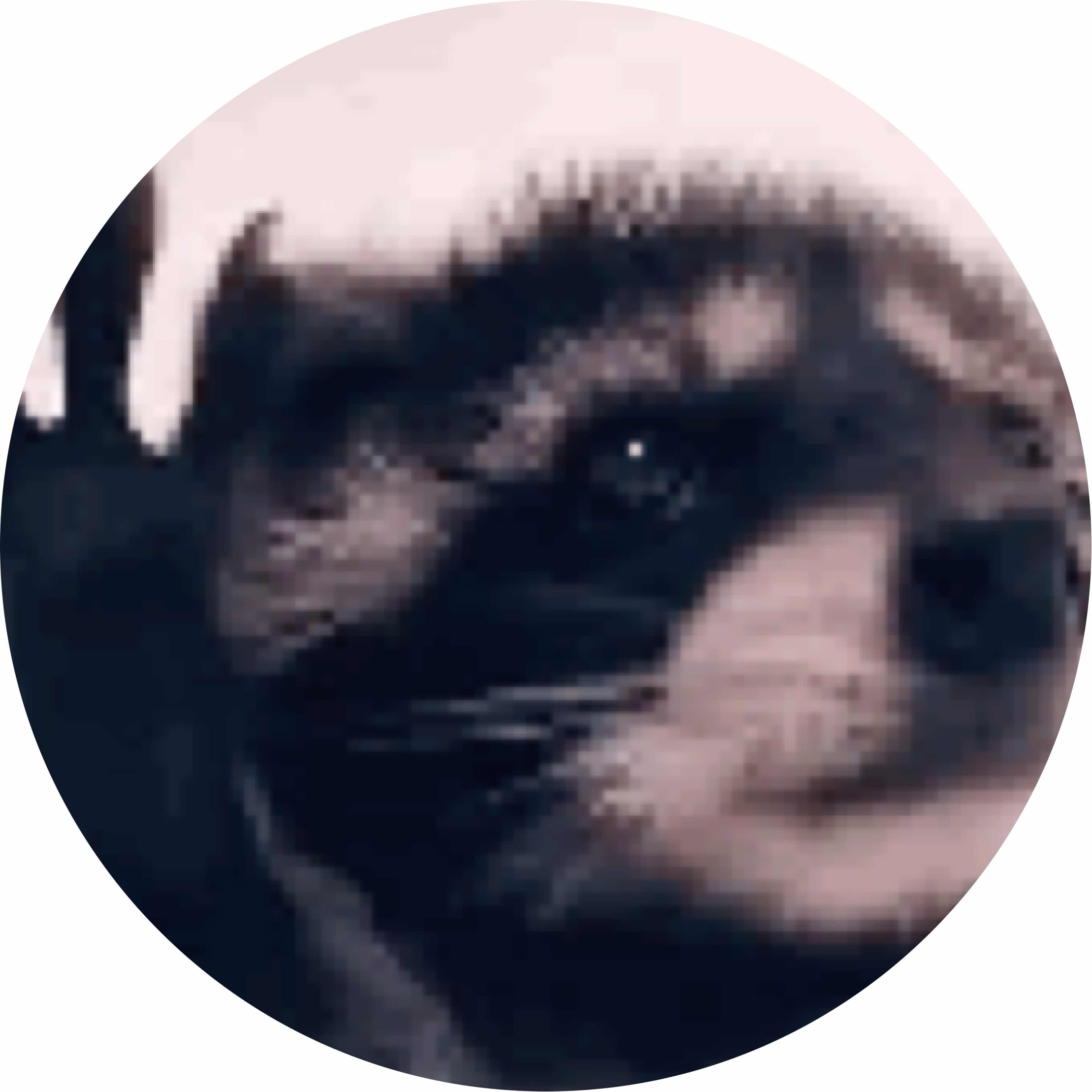 avatar of Uolap