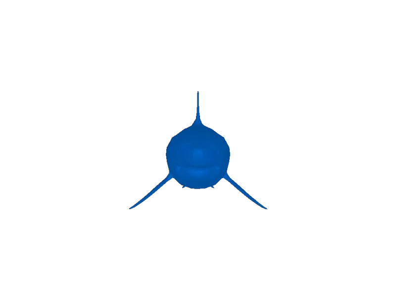 megalodon 