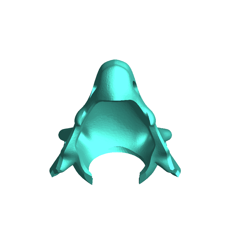 Cubone Pokemon Skull