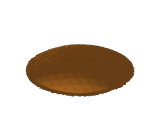 fahmida-1