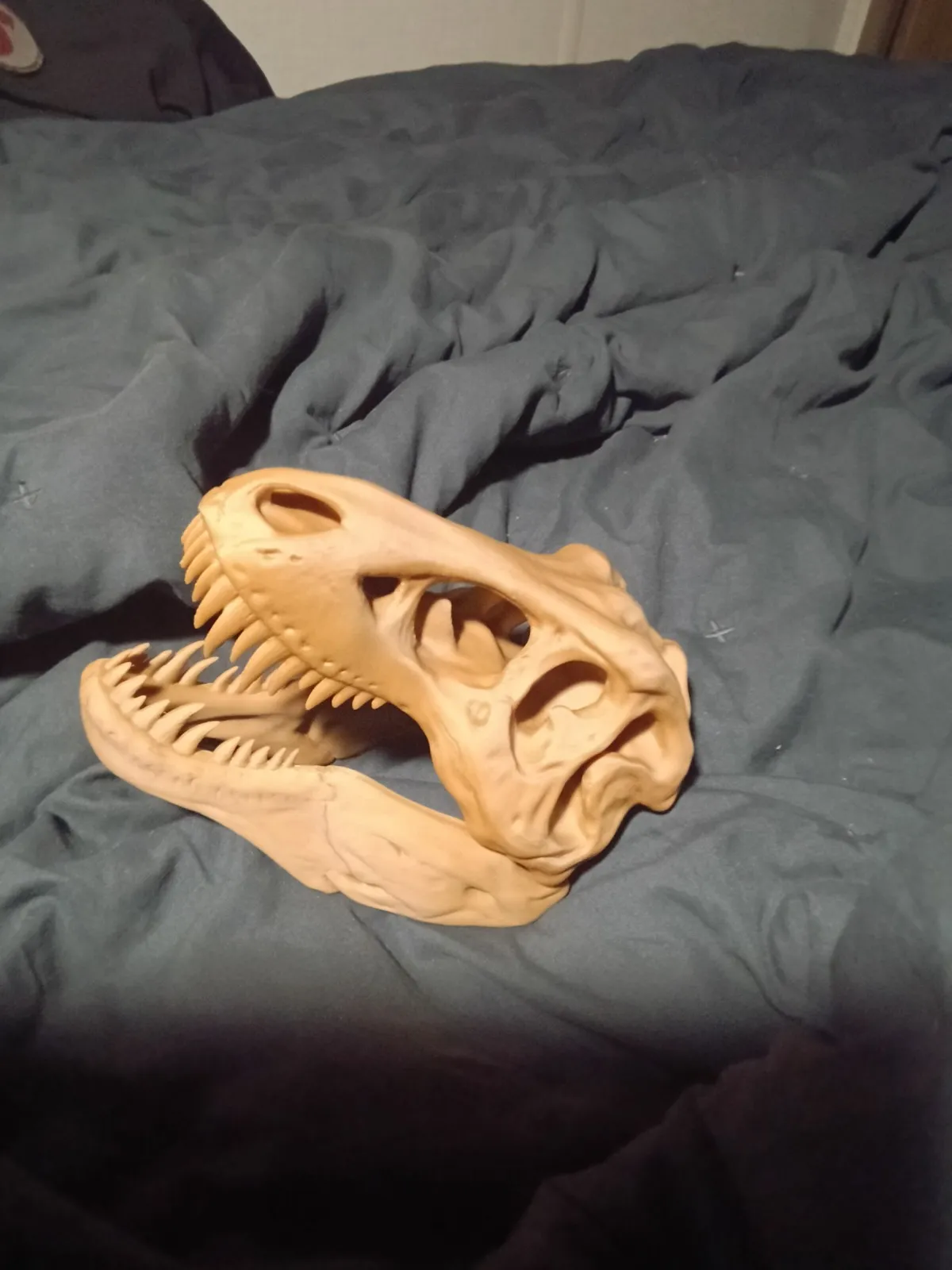 T-Rex Skull-0