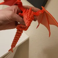 Silver Dragon-1
