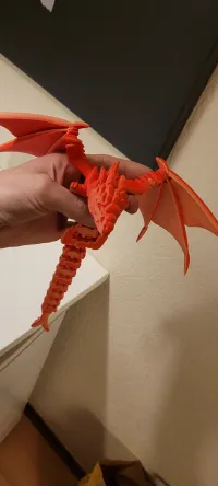 Silver Dragon-1