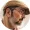 MitchTheWriter