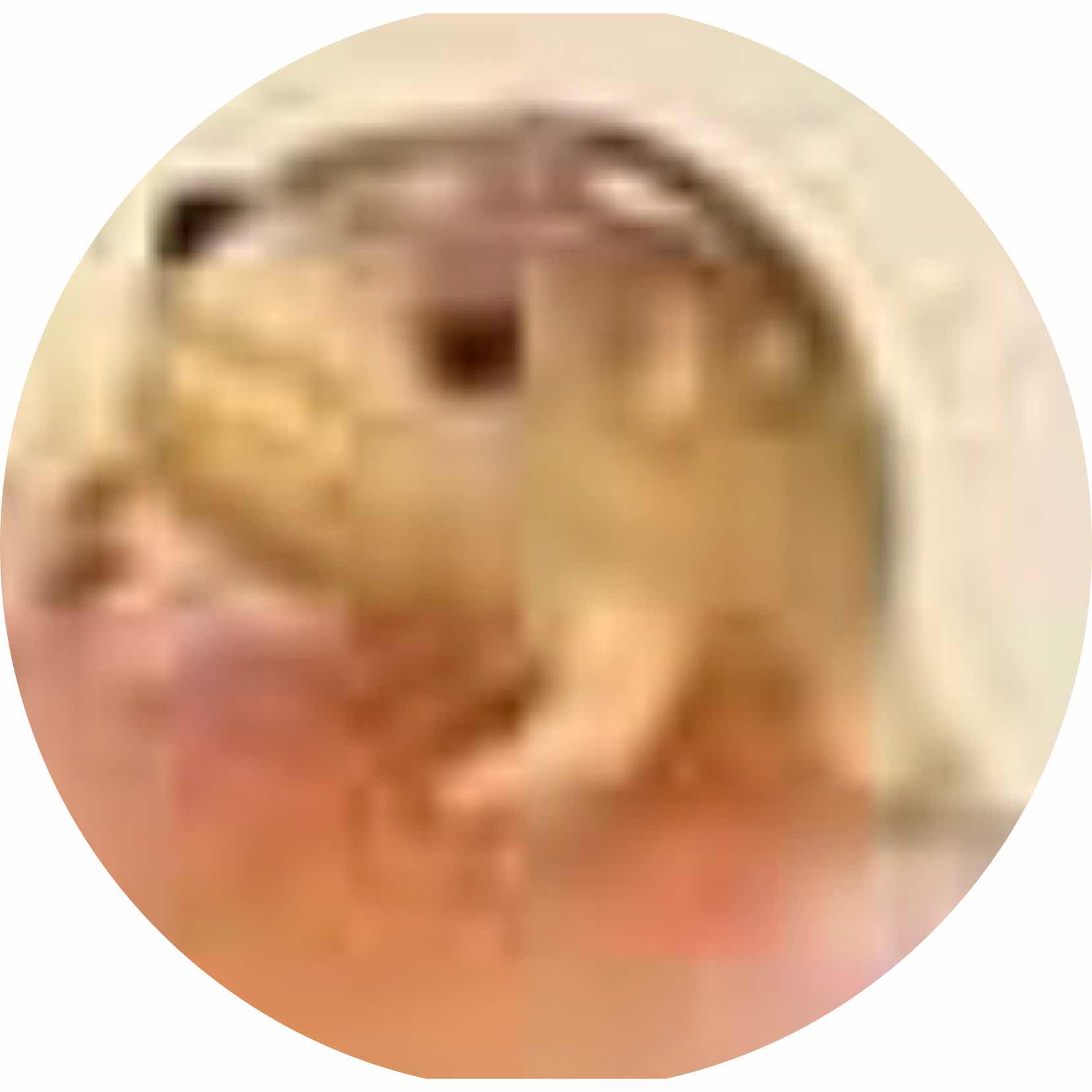avatar of Cheekibreekiski