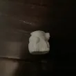 Ender-3