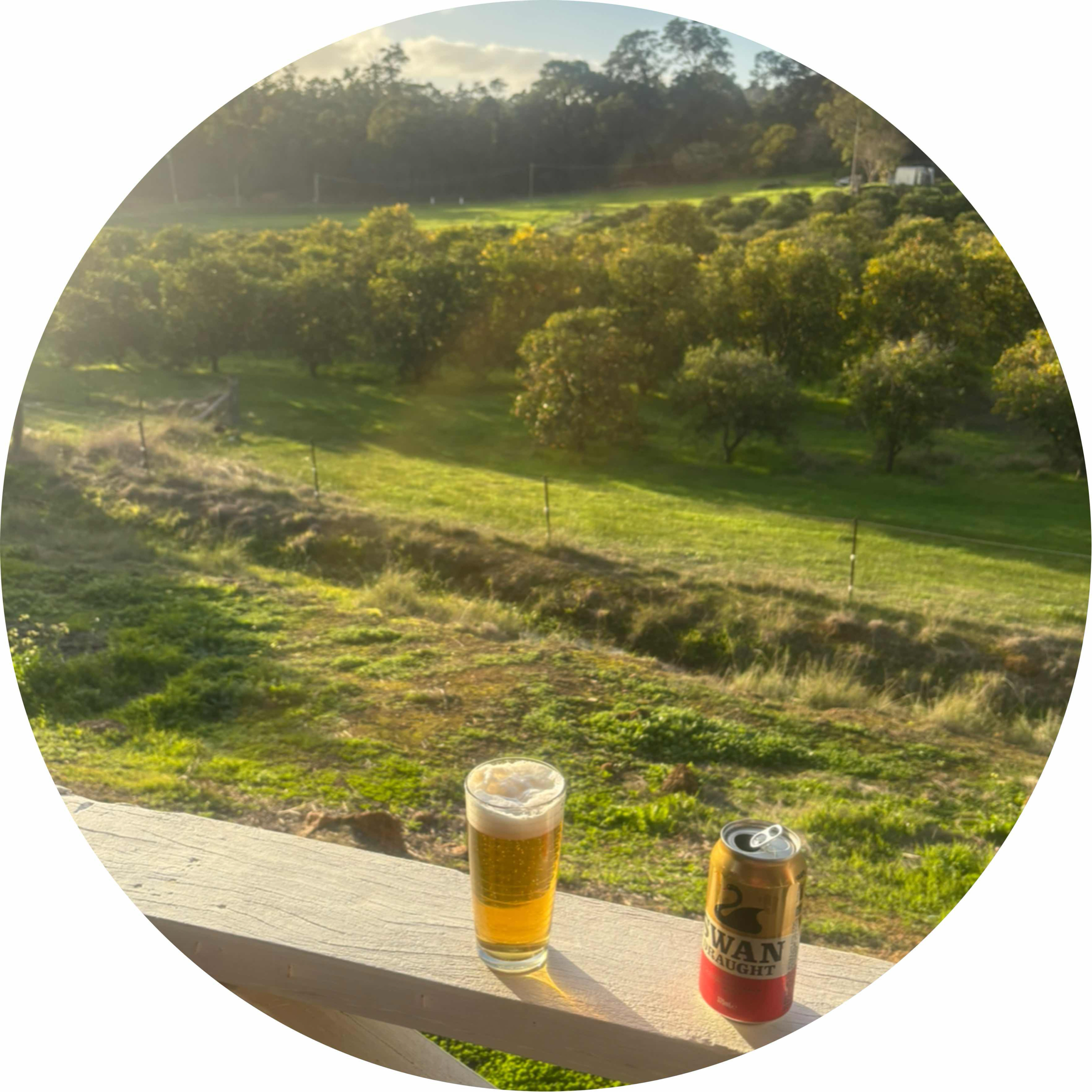 avatar of Jacques Posthumus