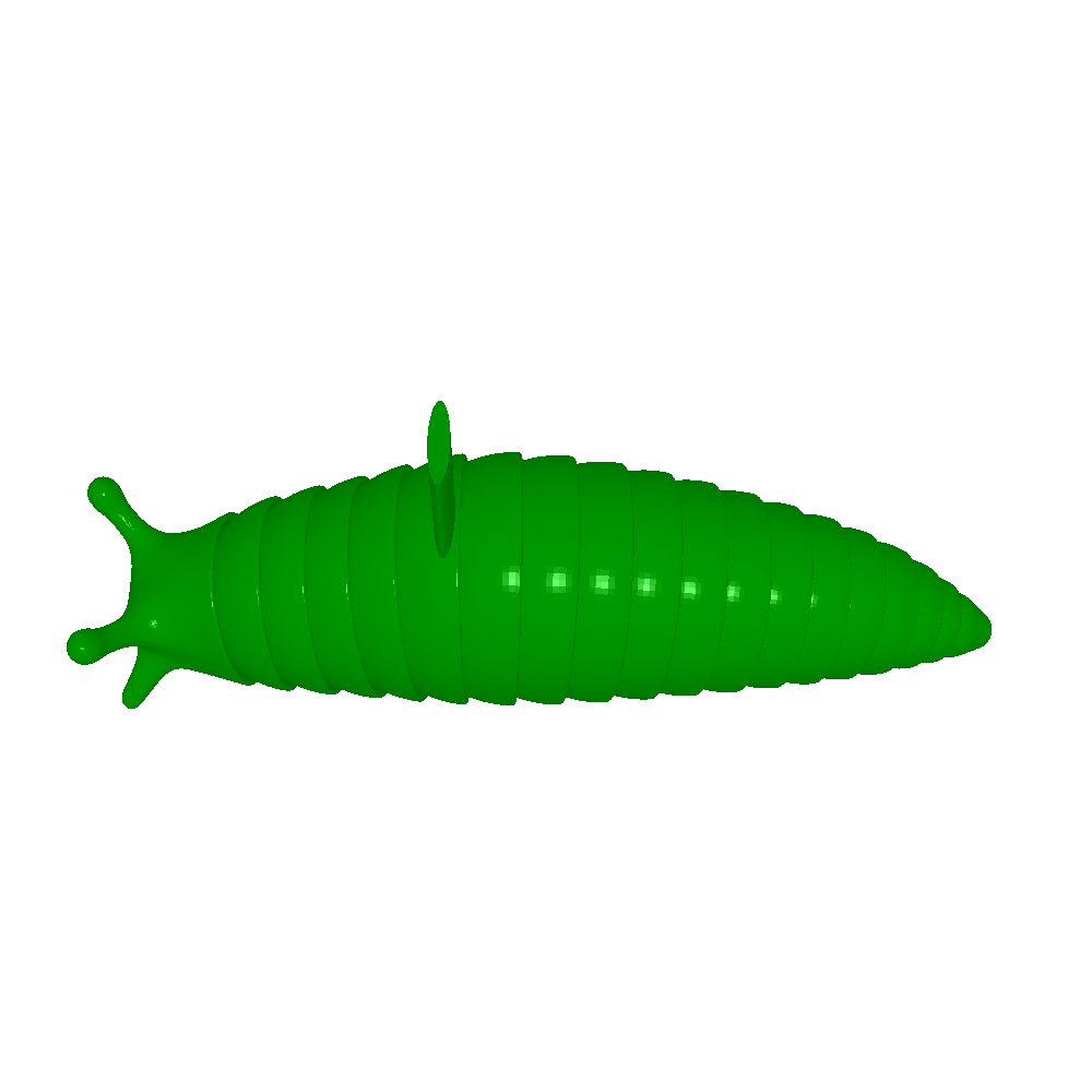 slug with shells