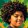 avatar of ayden2014