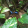 avatar of Varlius