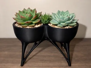 Modern Elevated Planter