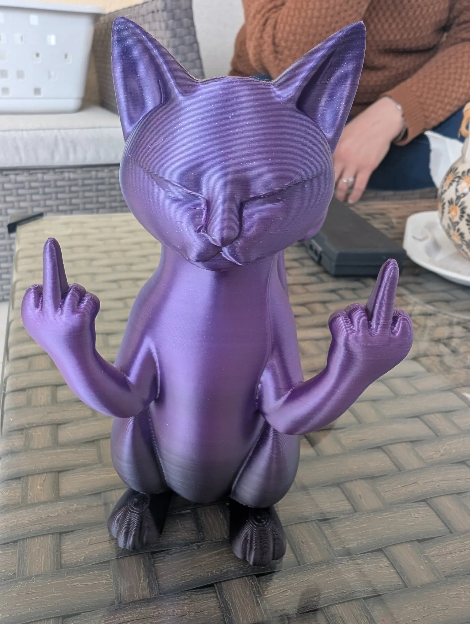 Middle finger cat-2