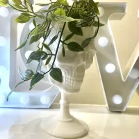 SCULL GOBLET - PRINT IN PLACE-0