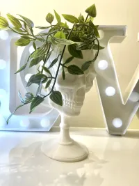 SCULL GOBLET - PRINT IN PLACE-0