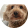 avatar of goodboi17
