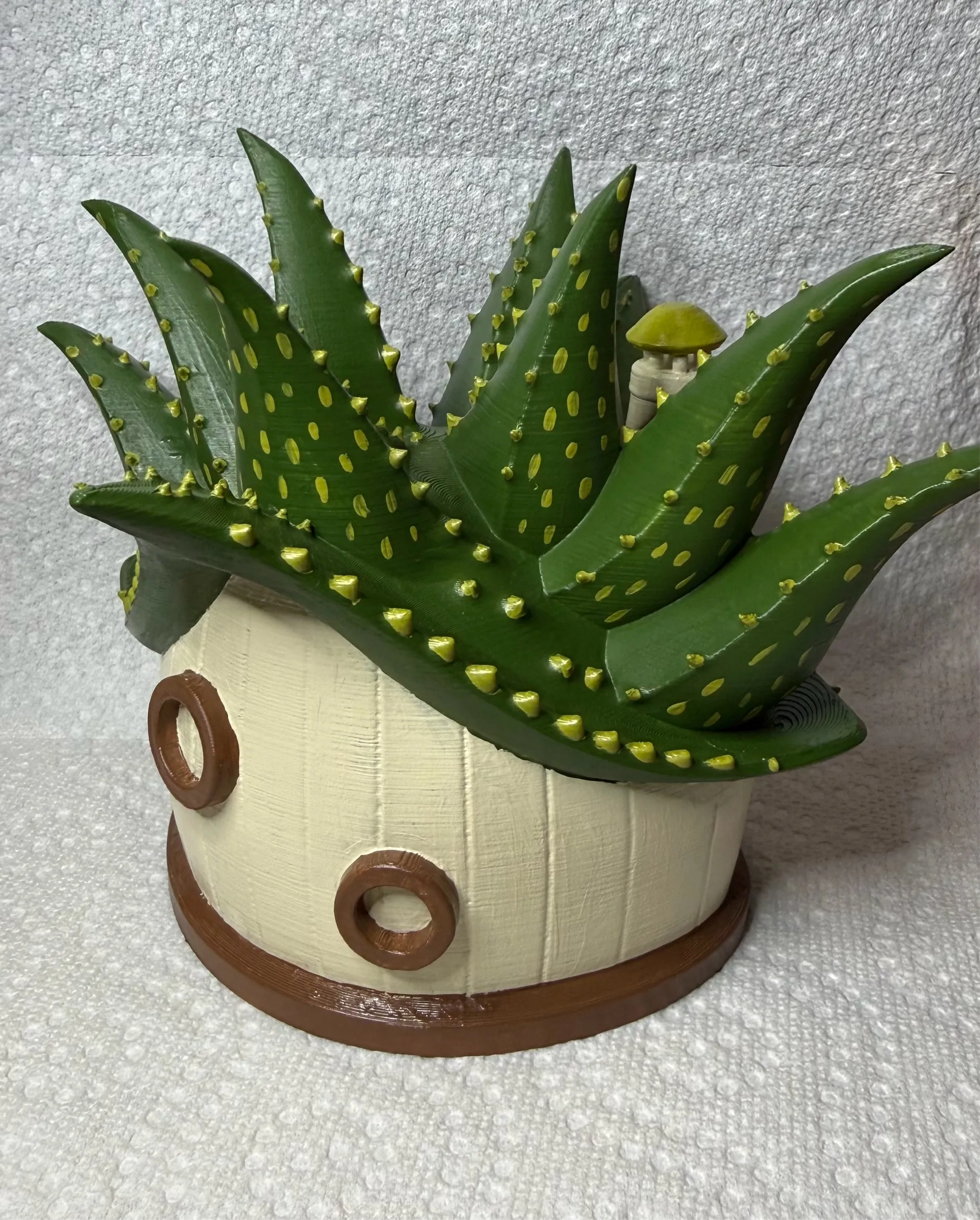 Aloe Fairy House-1