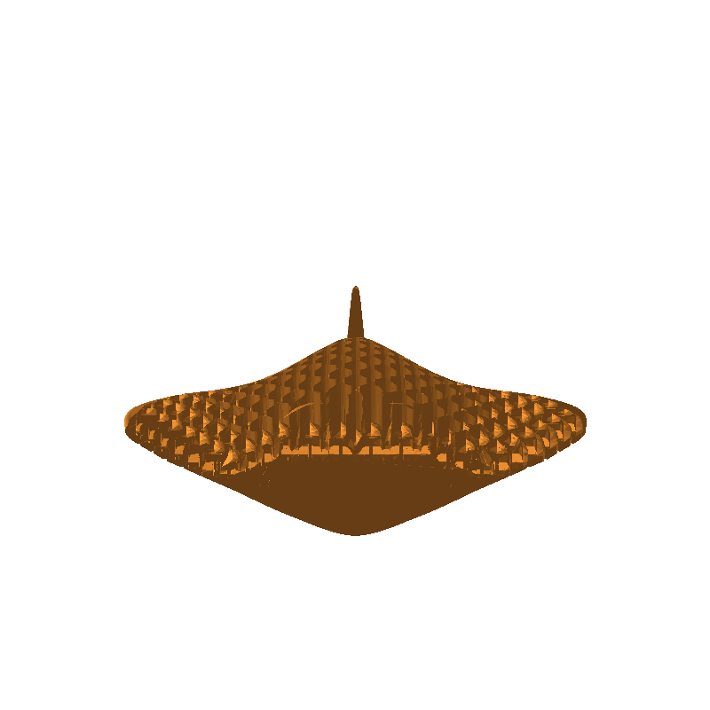 flexi Ray - the Manta Ray