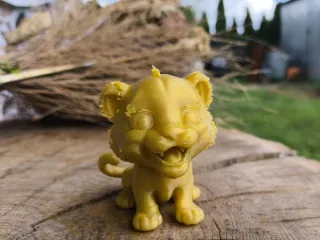 Lion 1