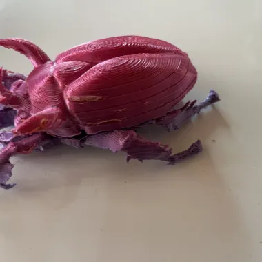 Horned Scarab Beetle-0