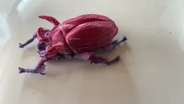 Horned Scarab Beetle-0
