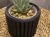 pot-0